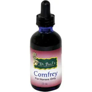 Comfrey For Horses Only
