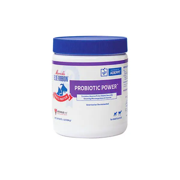 Probiotic Power Powder