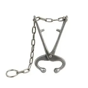 Bull Lead with Chain