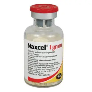 Naxcel®
