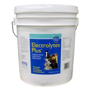 electrolytes plus for calves 25lb pail
