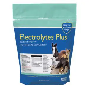 electrolytes for calves 6lb bag