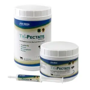 TRI PECTATE 30 ml paste, 50 count capsules, 100 count capsules.