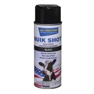 QUIK SHOT Spray Paint (Inverted Tip) , (12 oz) , (Black).