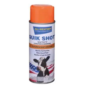 QUIK SHOT Spray Paint (Inverted Tip) , (13 oz) , (Fluorescent Orange).