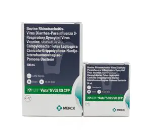Bovilis Vista 5 VL5 SQ CFP, 10 and 50 dose