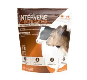 LIfeline Intervene for Calves