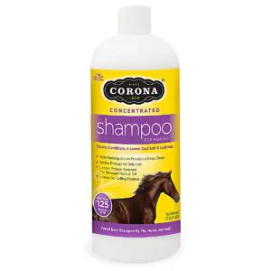 CORONA® Concentrated Shampoo