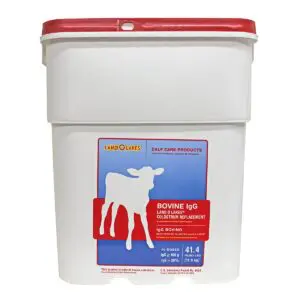 Colostrum Replacement