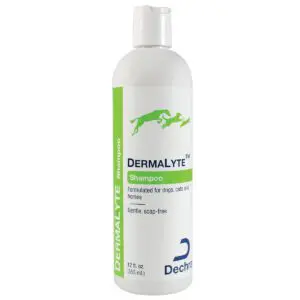 DermaLyte™ Shampoo