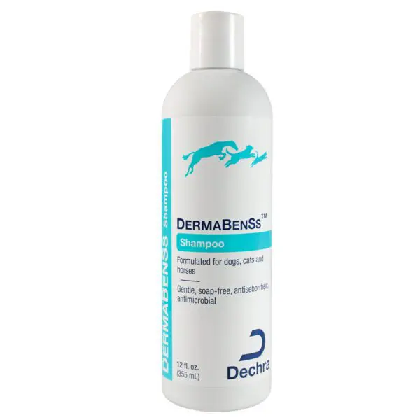 DermaBenSs™ Shampoo