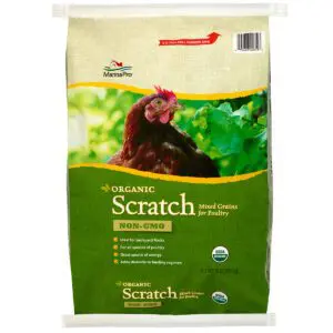 Organic Scratch