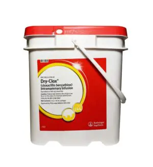 Dry-Clox, Pail, 144 count