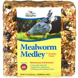 Mealworm Medley Poultry Treat