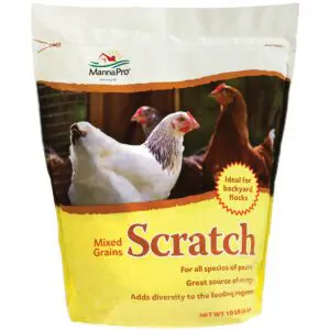 Scratch Grains Poultry
