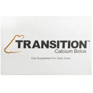 TRANSITION™ Calcium Bolus