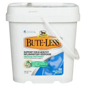 Bute-Less Pellets for Horses (5 lb).