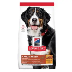 Large Breed Chicken & Barley Adult Dry Dog Food