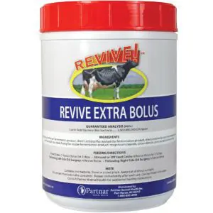 Revive™ Extra Bolus