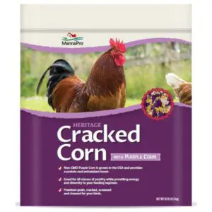 Cracked Corn with Purple Corn