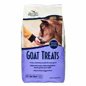 Goat Treats