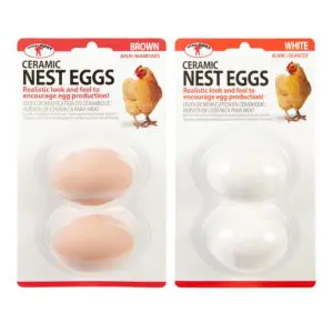 Little Giant® Ceramic Eggs