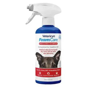 Vetericyn FoamCare medicated shampoo.