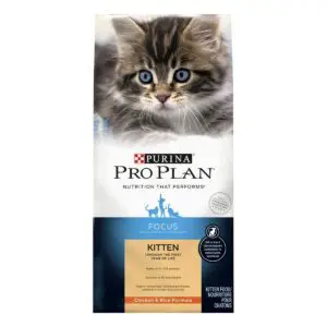 FOCUS Dry Kitten Cat Food