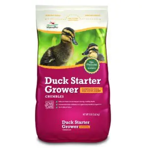 Duck Starter Grower Crumbles