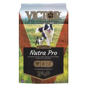 Purpose Nutra Pro Dry Dog Food