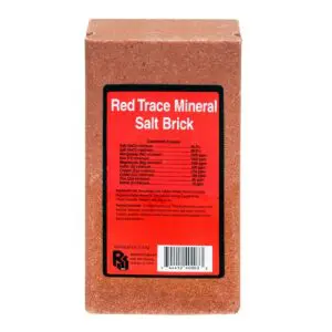 Red Trace Mineral Salt Brick 4 lb