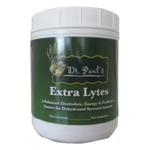 Extra Lytes