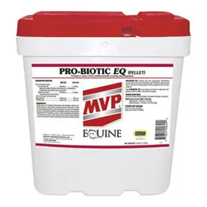 Pro-Biotic EQ™ Horse Supplement
