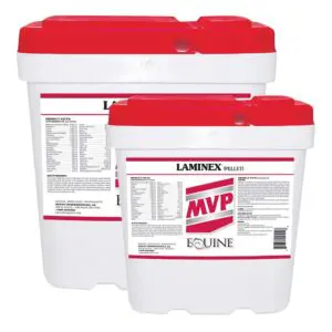 Laminex™ Concentrated Horse Supplement