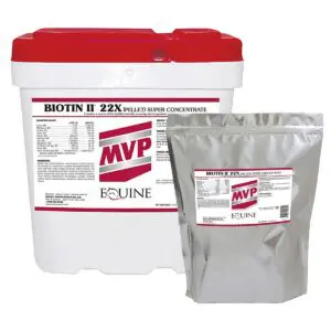Biotin II 22 X Concentrated Equine Supplement