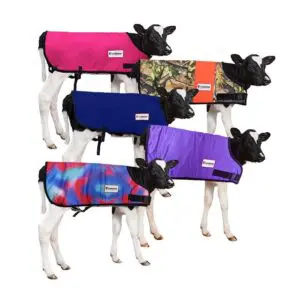 Leedstone Calf Jacket-Calf Blanket Large All Colors