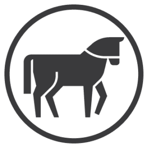 Equine Care