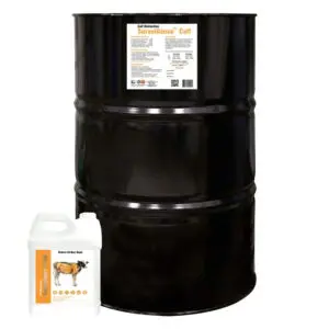 Surveillance Calf Liquid Supplement