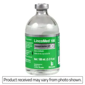 LincoMed 100 Swine Antibiotic. Lincomycin Injection