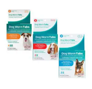 Dog Worm Tabs chewable tablet for dogs