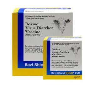 Bovi-Shield Gold BVD Cattle Vaccine