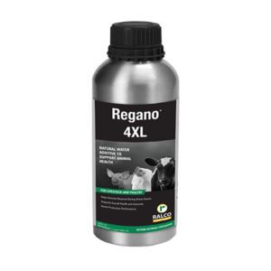 Regano 4XL 1 quart size