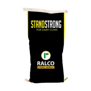 Stand Strong for Dairy Cows 50lb bag