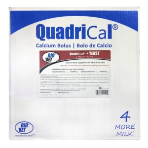 QuadriCal + Yeast Calcium Bolus for Dairy Cows