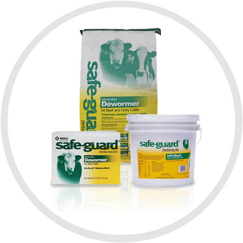 - safegard